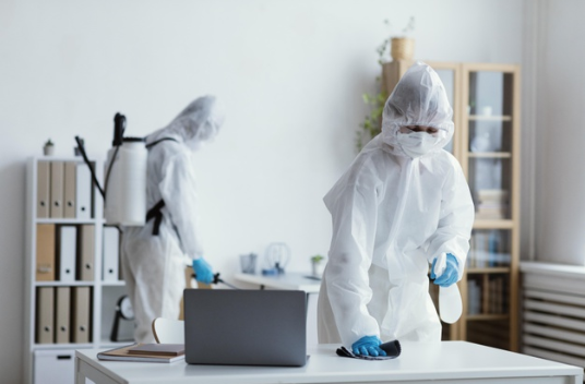 Pest Control in kalba &sharjah