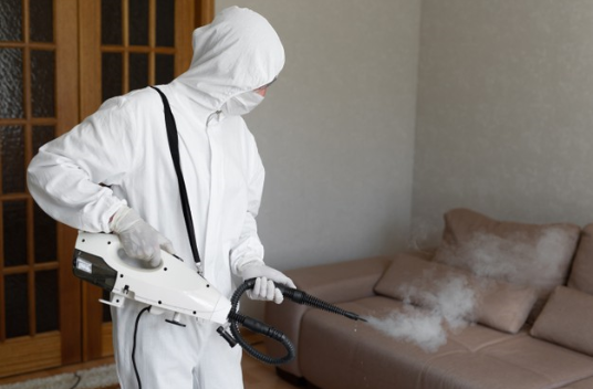 Pest Control in kalba &sharjah