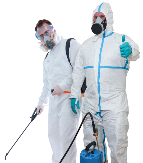 Bird Control ·Rat Control ·Mosquito Control
              